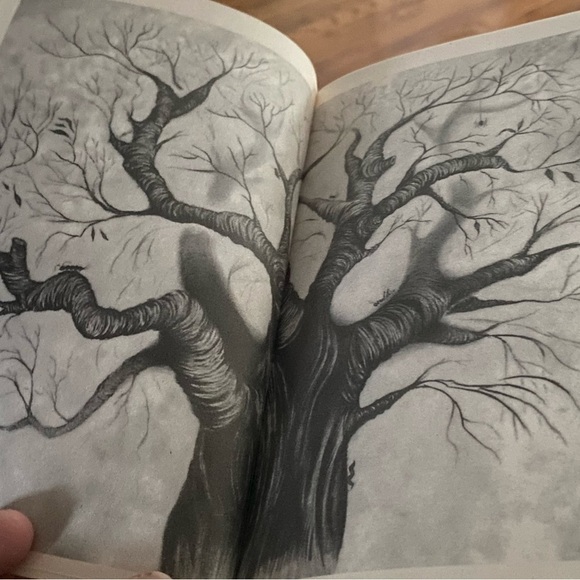 🌟
1996 Roald Dahl James & the GIANT Peach
 children chapter book Paperback - Picture 5 of 14